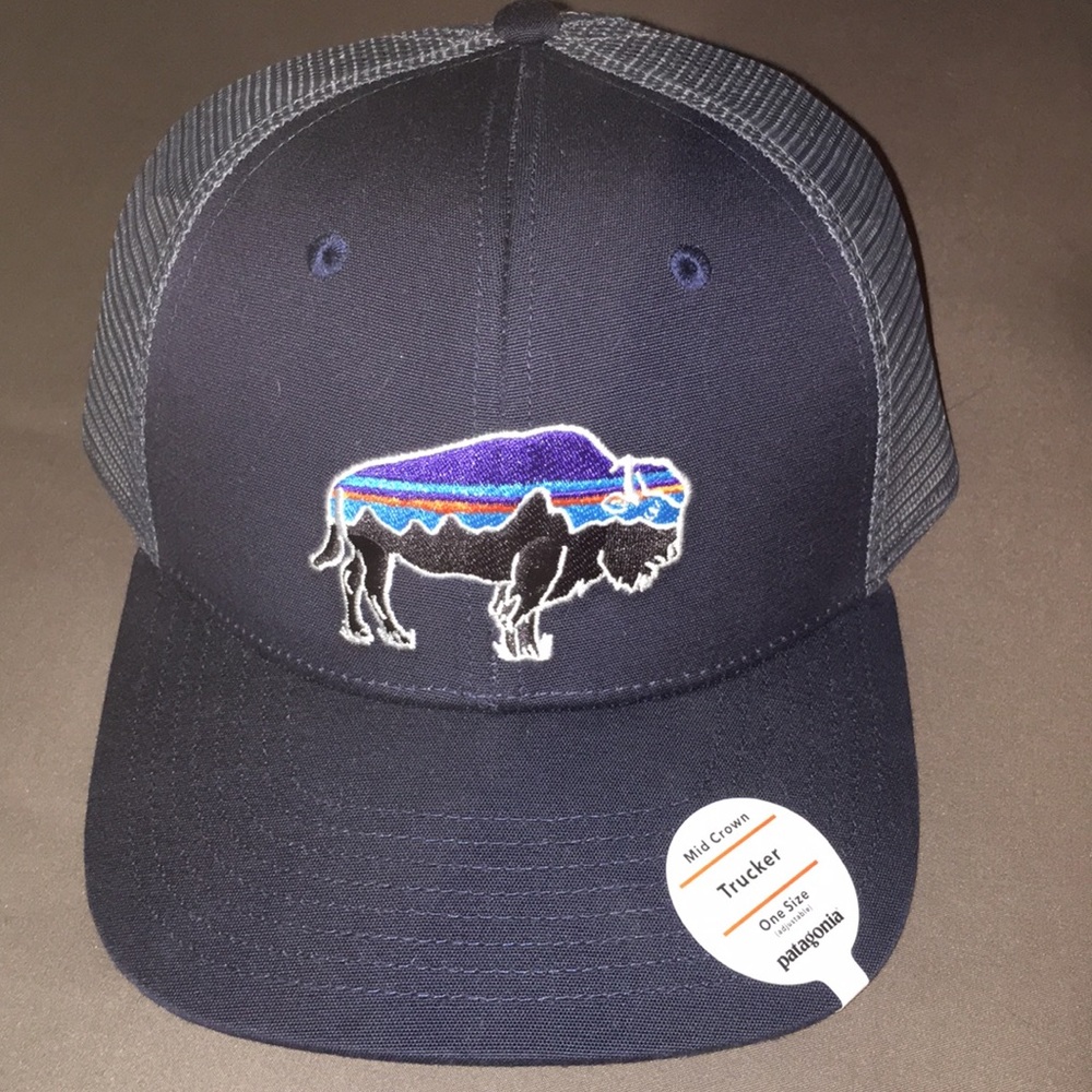 Patagonia Trucker Hat